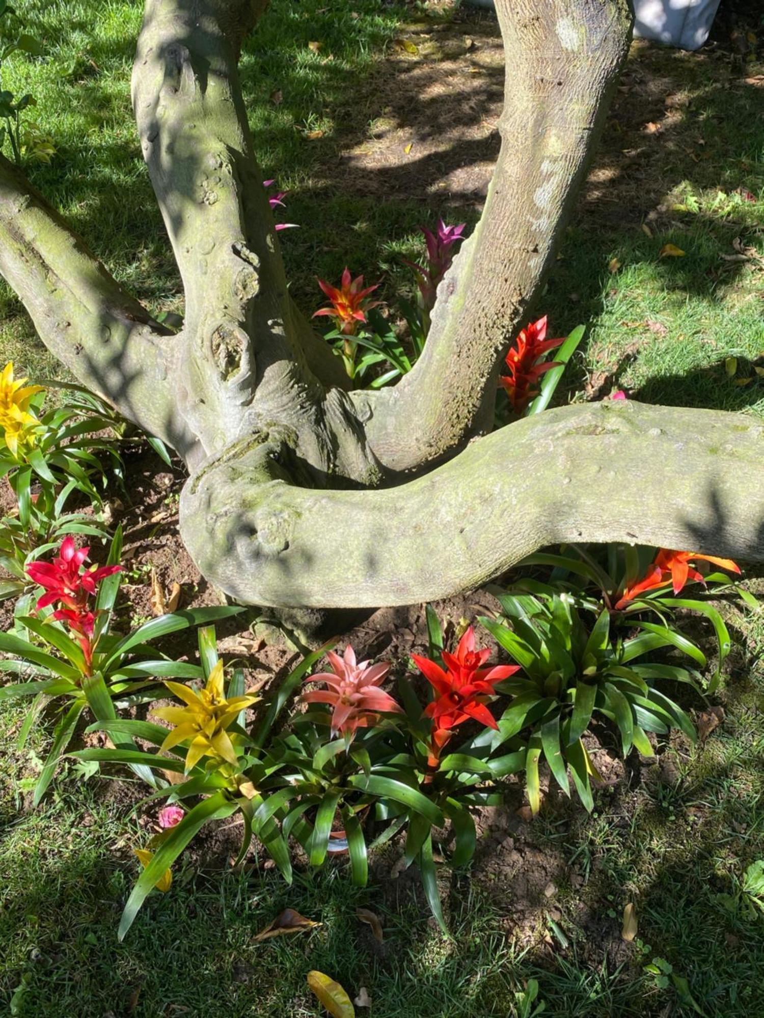Charm Azenha Dobidos Farm Villa Olho Marinho Exterior photo